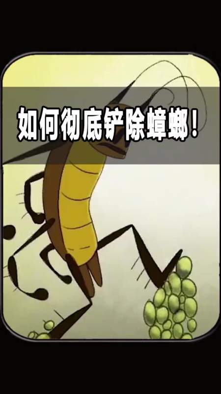 为什么蟑螂不能用脚踩?好物 蟑螂-度小视
