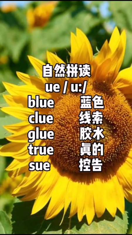 第38集|自然拼读巧记单词:ue组合发音,你学会了吗?