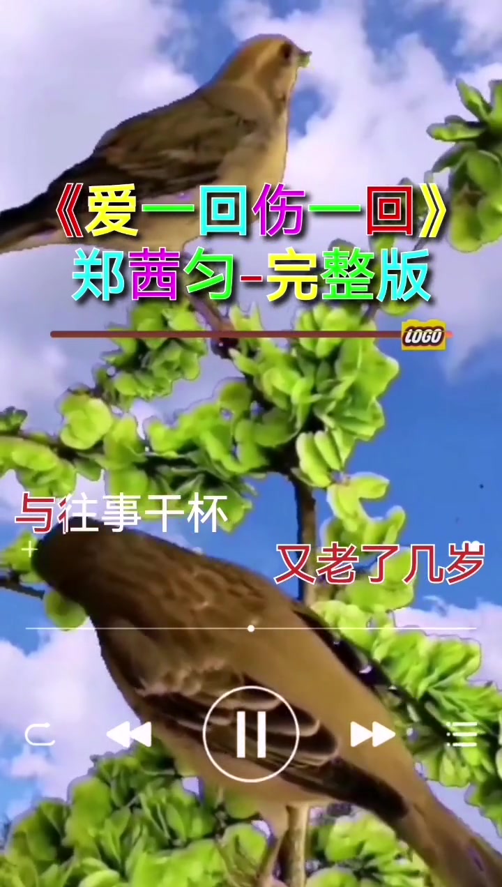 音乐分享《爱一回伤一回》完整版歌曲|寂寞在跟随久久不能睡|想你的