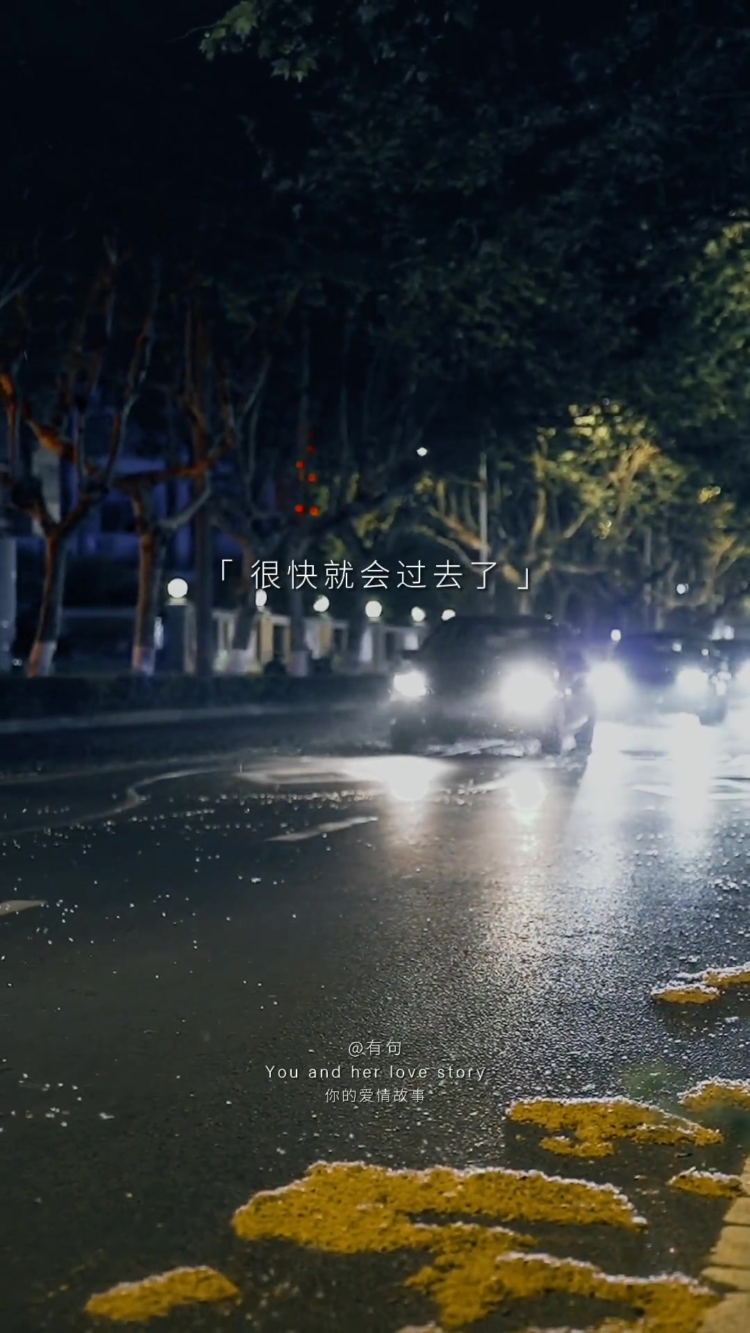 第219集|……再熬一熬吧 马上风吹 叶落 下雪 这糟糕的一年很快就要