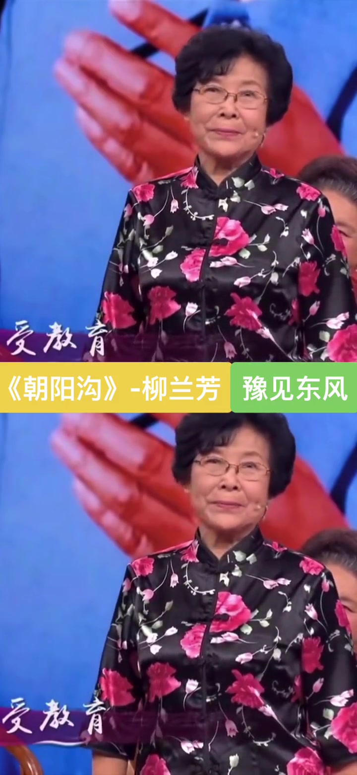 豫见东风 豫剧 朝阳沟 柳兰芳-度小视