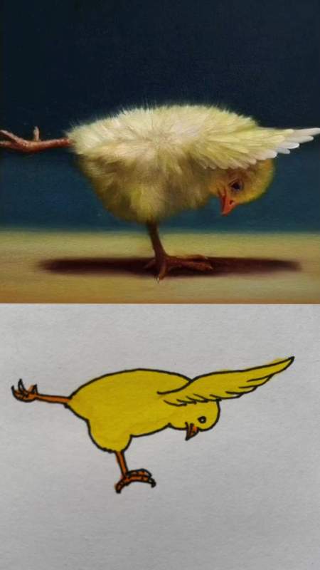 小鸡瑜伽模仿大赛 一起学画画 哈哈-度小视