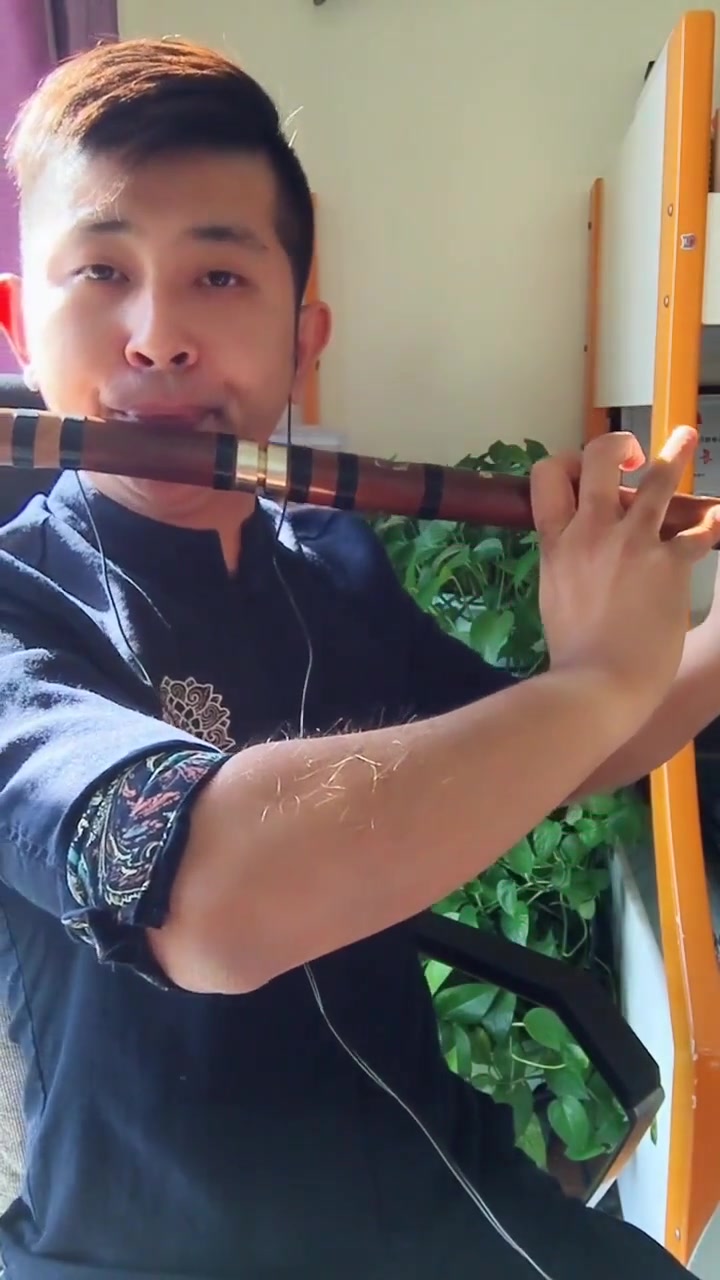 琼瑶经典《梅花三弄》大g调笛子筒音作5指法-度小视