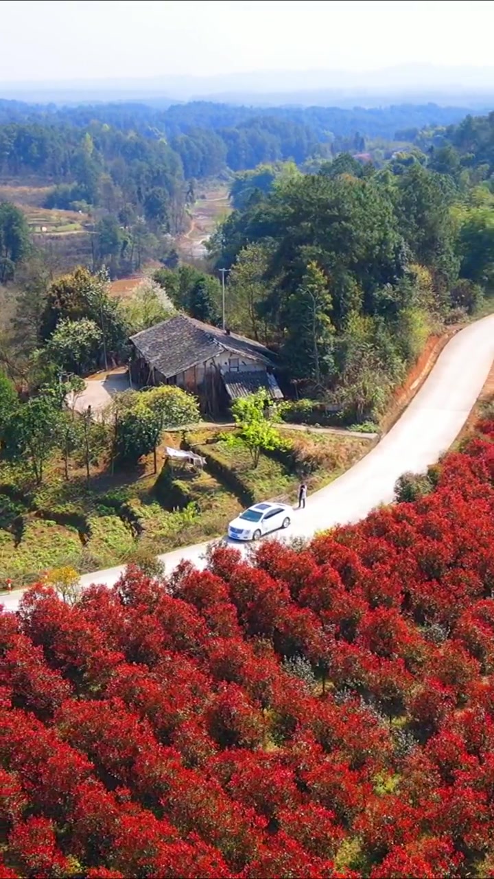 第525集|路过涪陵蔺市镇泡桐村一组.发现一处风景特别好的地方.