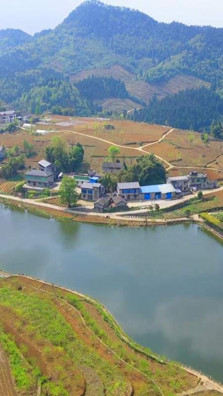第429集|涪陵百胜镇-桂花村.已拍第219个涪陵乡村.