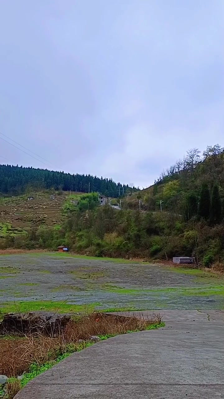 第406集|涪陵大木乡-武陵村.已拍第230个涪陵乡村.