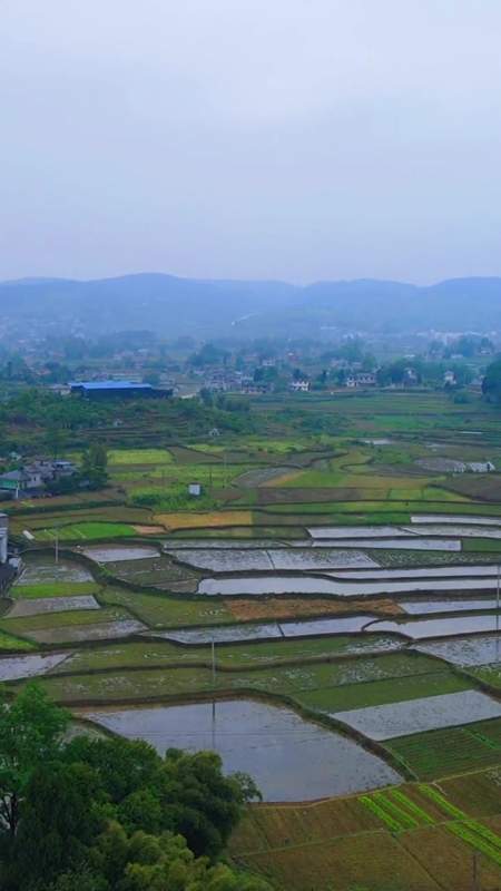 第337集|涪陵罗云乡-鱼亭子村.封面暂时不写字体,影响视频美观.