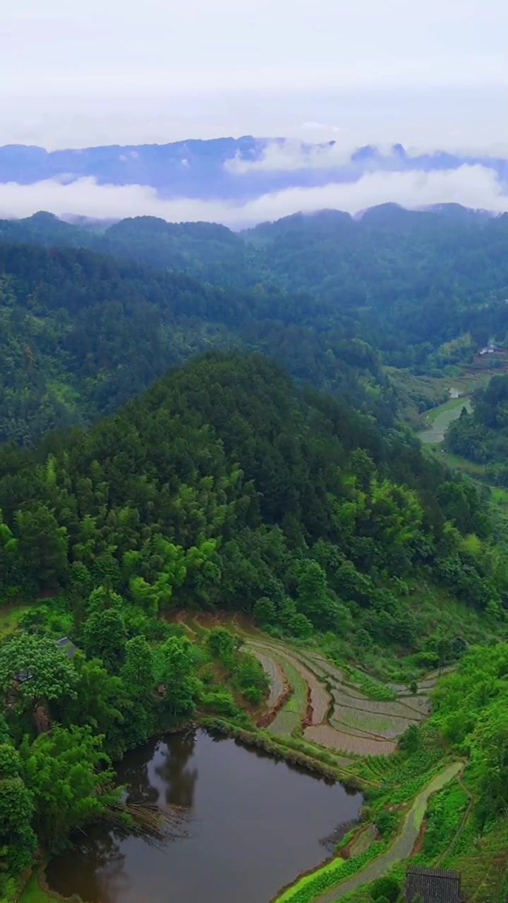 第486集|涪陵马武镇-林口村.已拍第254个涪陵乡村.