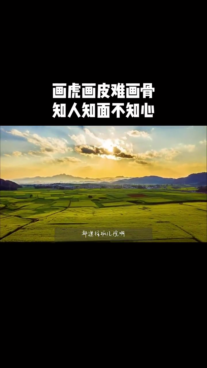 知人知面不知心 罗翔 哲学