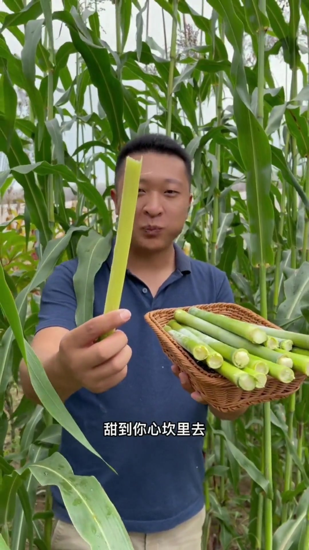 真实事件 奇案缉凶 令人震惊 甜高粱-度小视