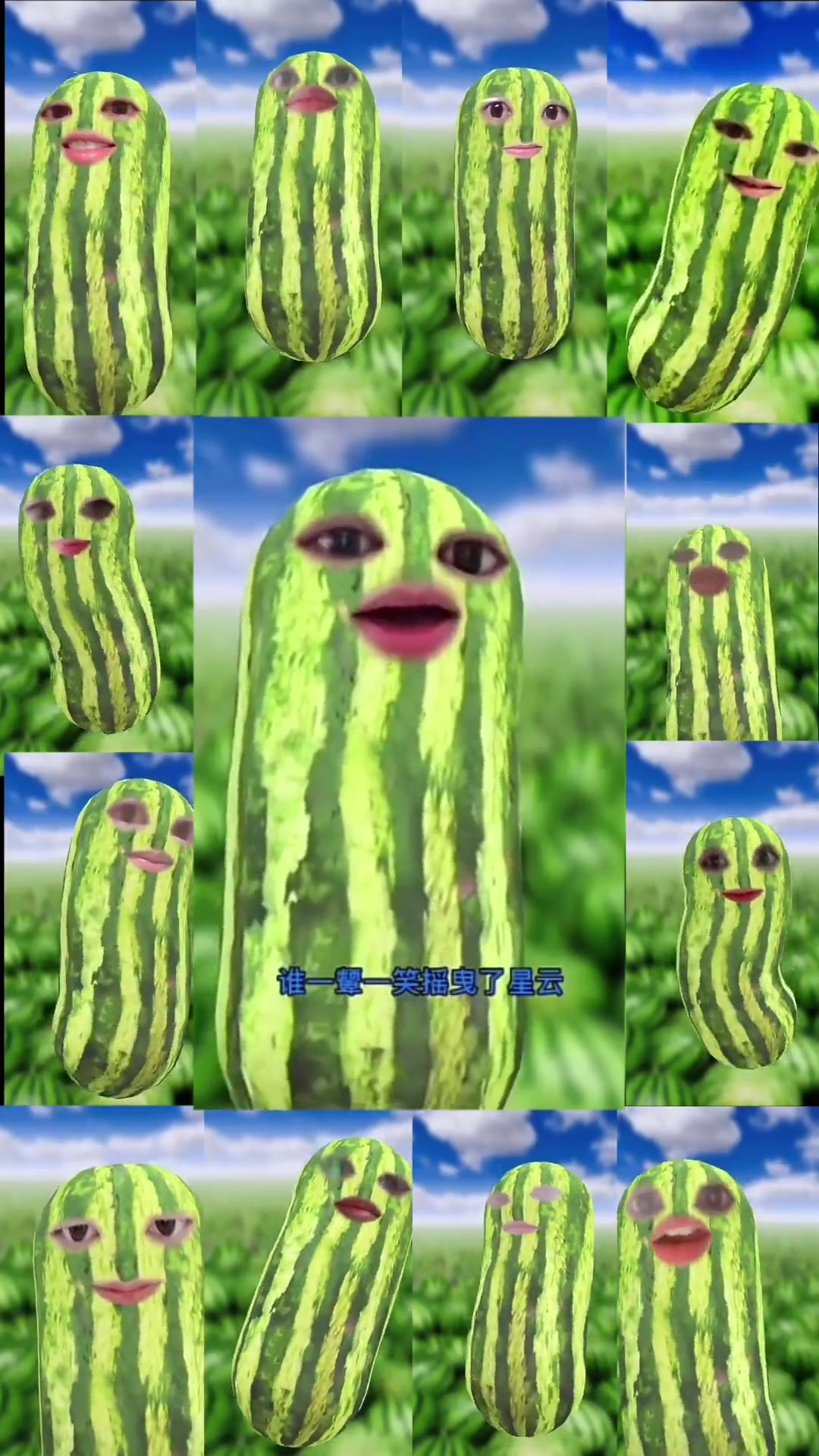 请欣赏一群西瓜条子带来的精彩合唱～合拍合唱 许嵩 惊鸿一面