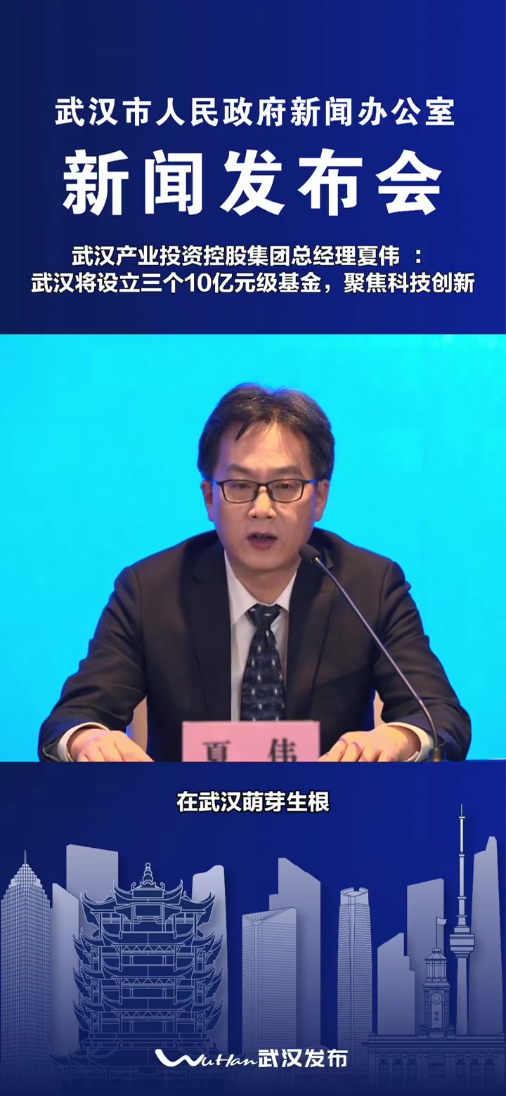 具有全国影响力的科技创新中心建设 武汉产业投资控股集团总经理夏伟