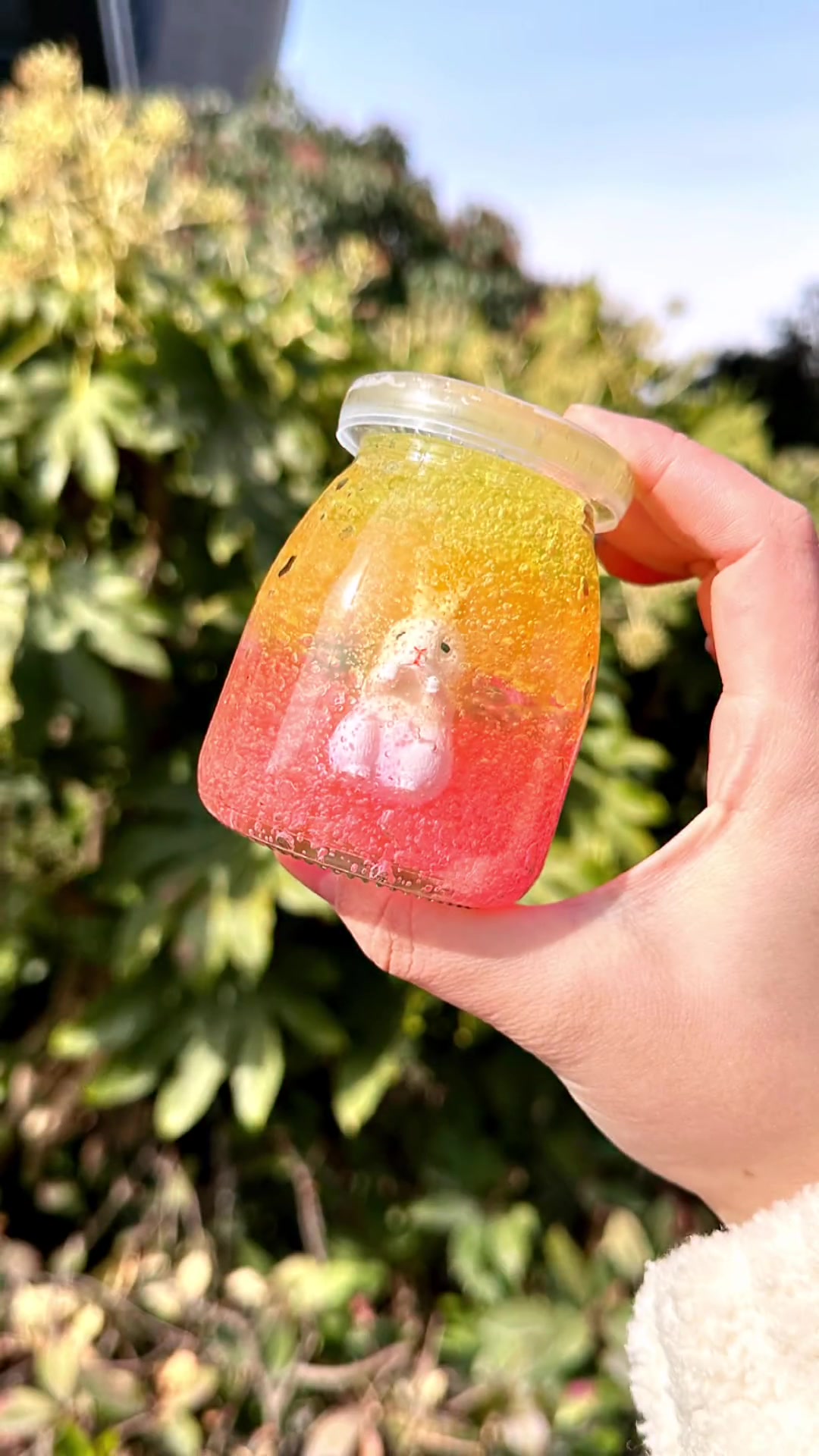 用水宝宝做了一个许愿瓶～新年愿望一定会实现哦!-度小视