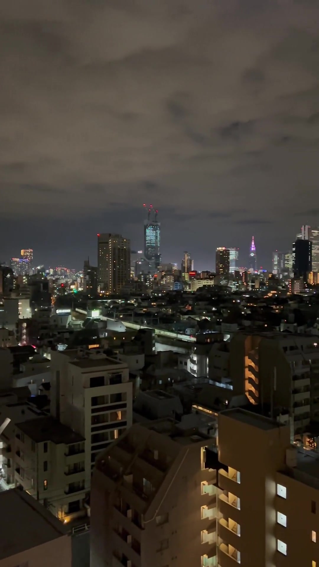 飞驰而过的电车,黑夜闪烁的航标灯,无处不在地展示着这座城市的繁忙.