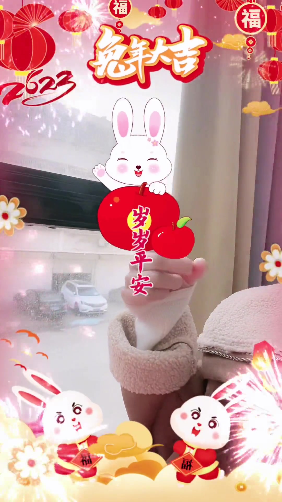 祝大家2023年兔年大吉_不露脸的手势舞-度小视