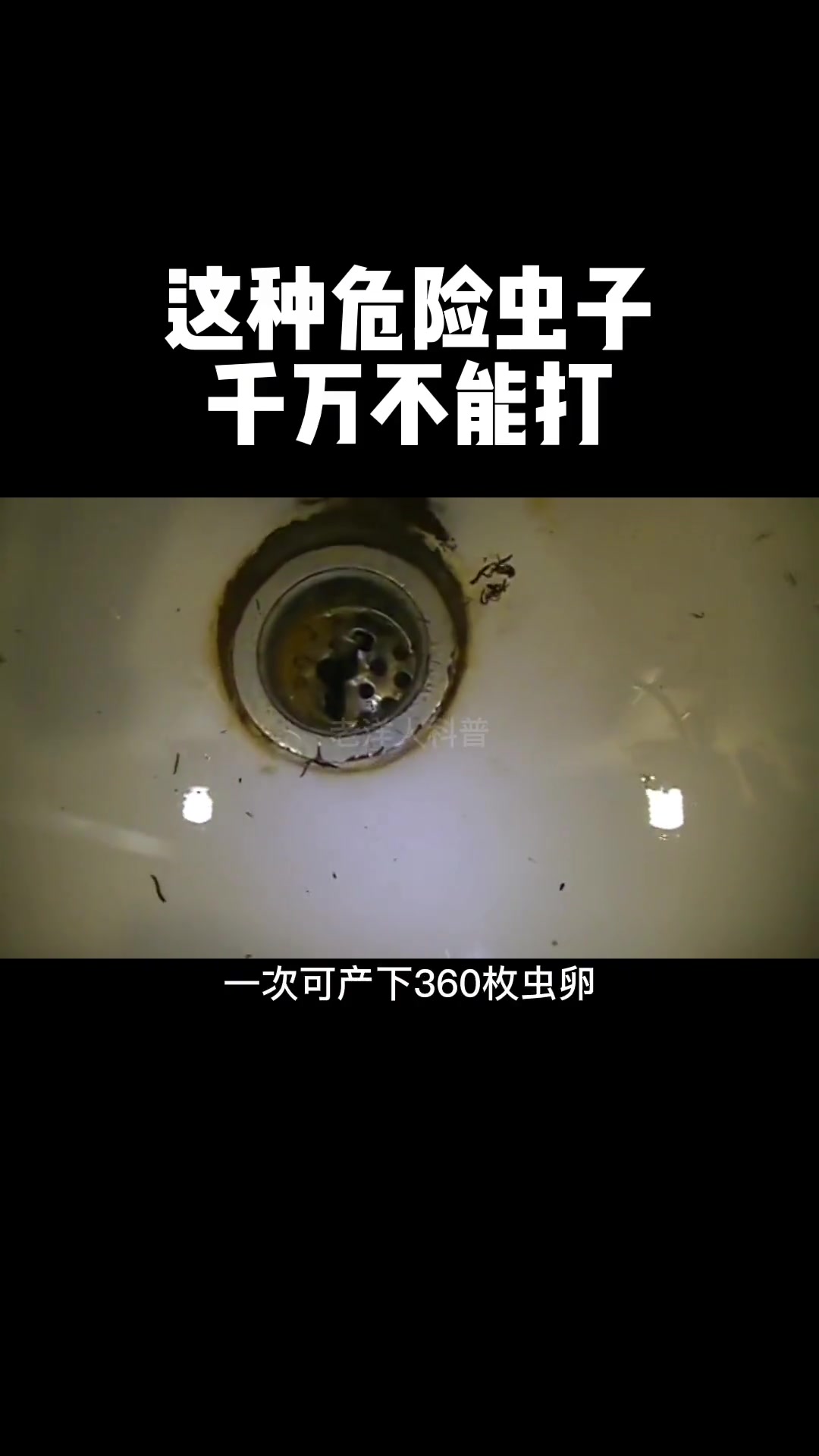 整治[gf]203c[/gf][gf]fe0f[/gf]卫生间小飞虫[gf]1f525[/gf]夏天厕所