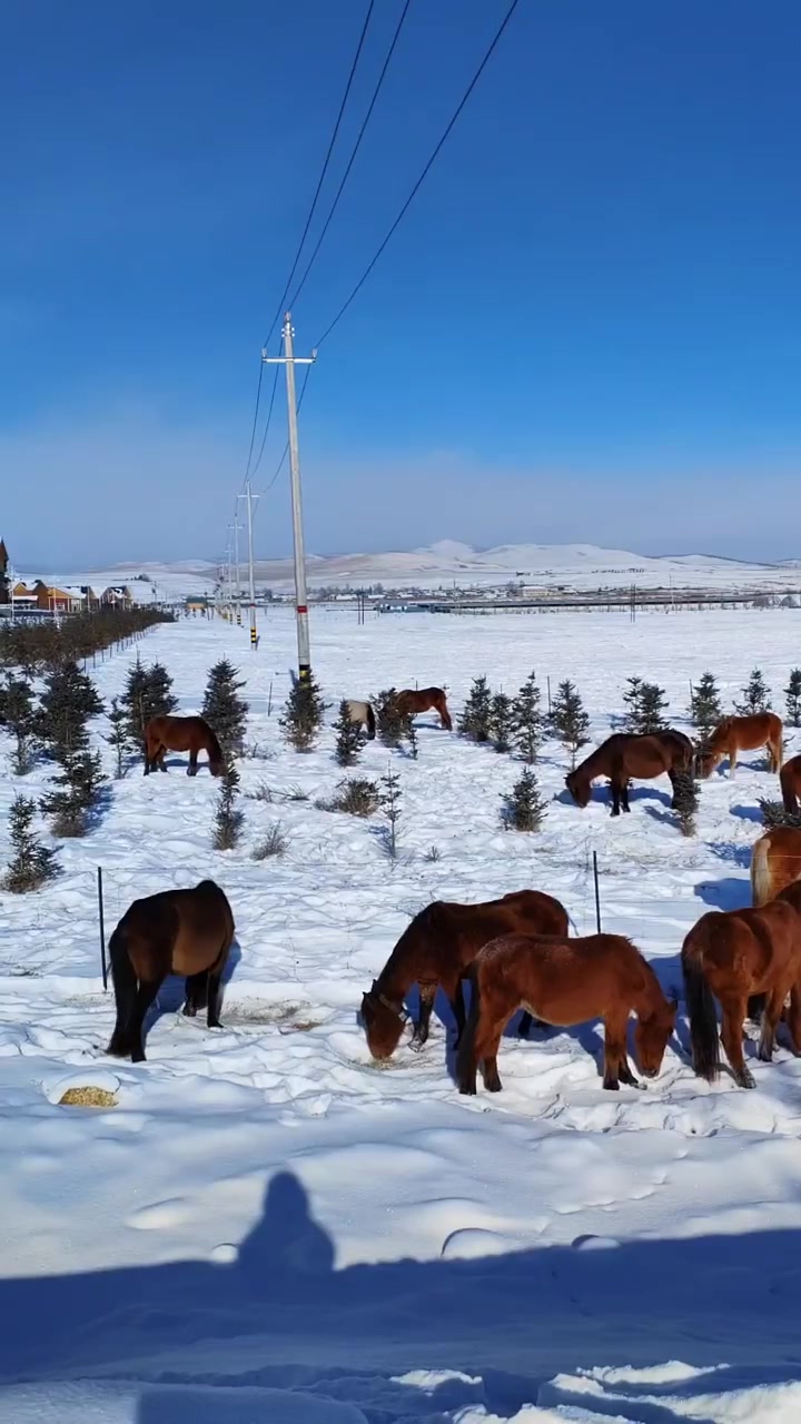 这里是内蒙古呼伦贝尔最北的边境小镇室韦,我只是用记录我们边境上的