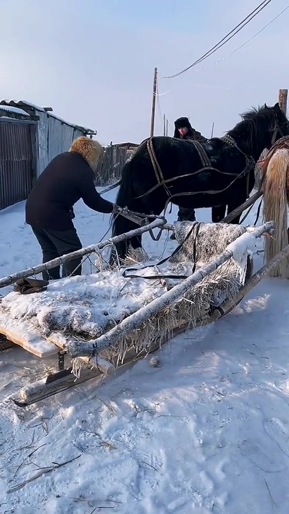 马爬犁这种古老的交通运输工具在俄罗斯农村还是很常见的,喜欢记得