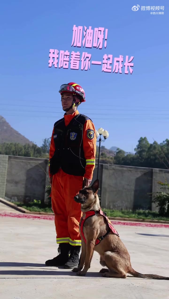 你真的了解消防搜救犬吗 近日,攀枝花市消防救援支队的搜救犬训导员