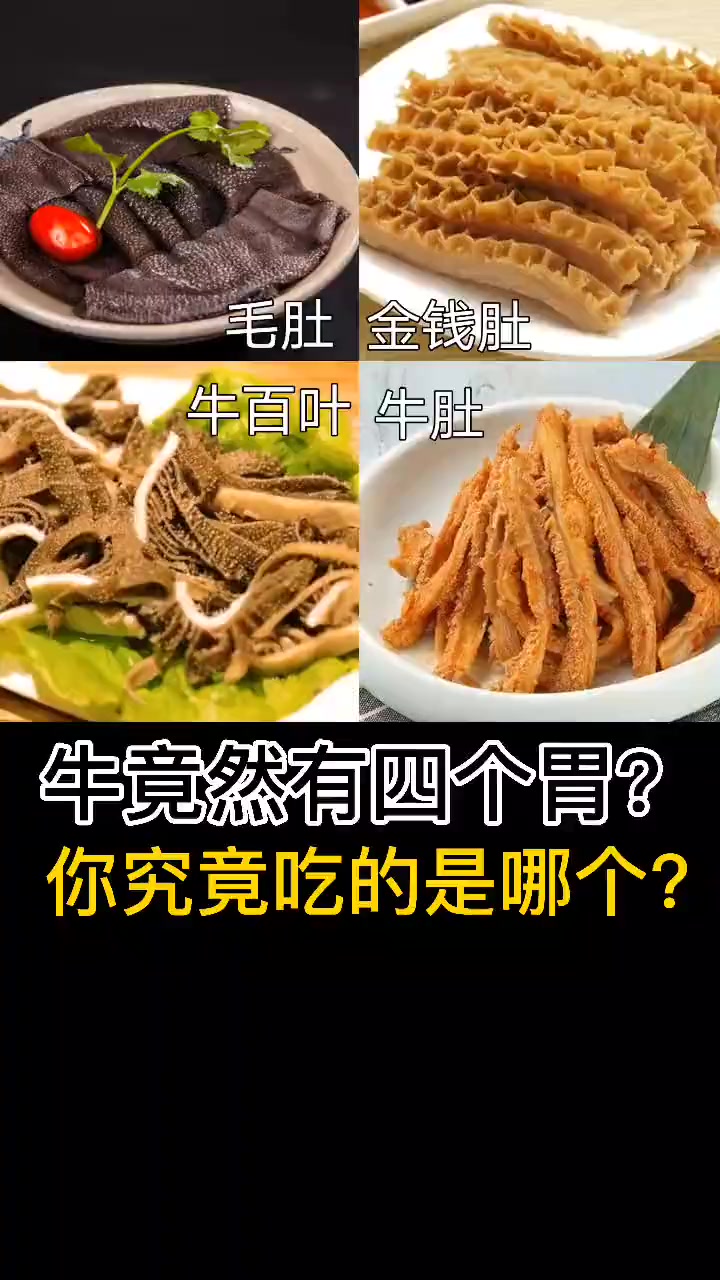 牛竟然有四个胃?你平时究竟吃的是哪个胃?