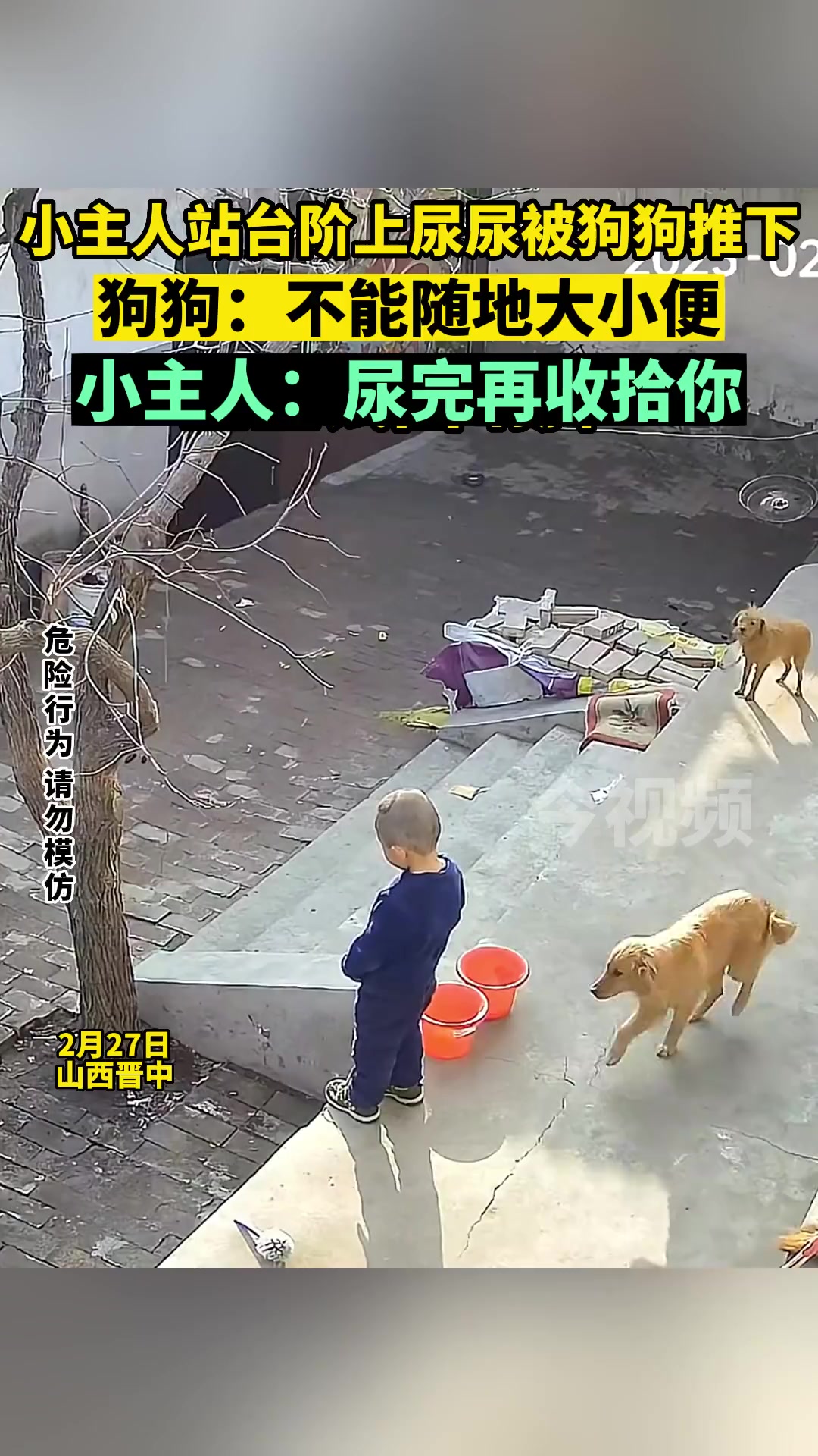 小主人站台阶上尿尿被狗狗推下,狗狗:不能随地大小便!