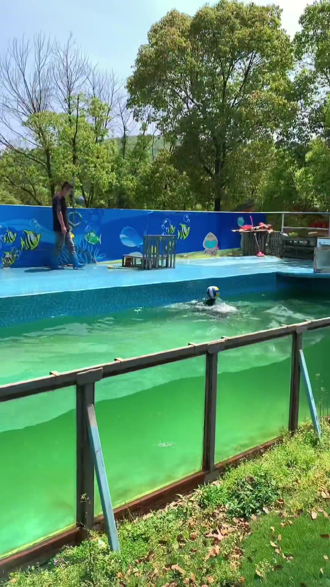 龙凤谷 59漂流 水滑道 海狮表演 倒立屋 古法造纸 大门票.