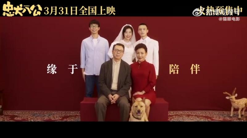 【电影忠犬八公发布终极预告】八筒遇到陈敬修后从此有了家,它能给你最好的爱就是无声的陪伴,即使再也看不到老爹的身影,它也愿意用一生去等待。#电影 ...