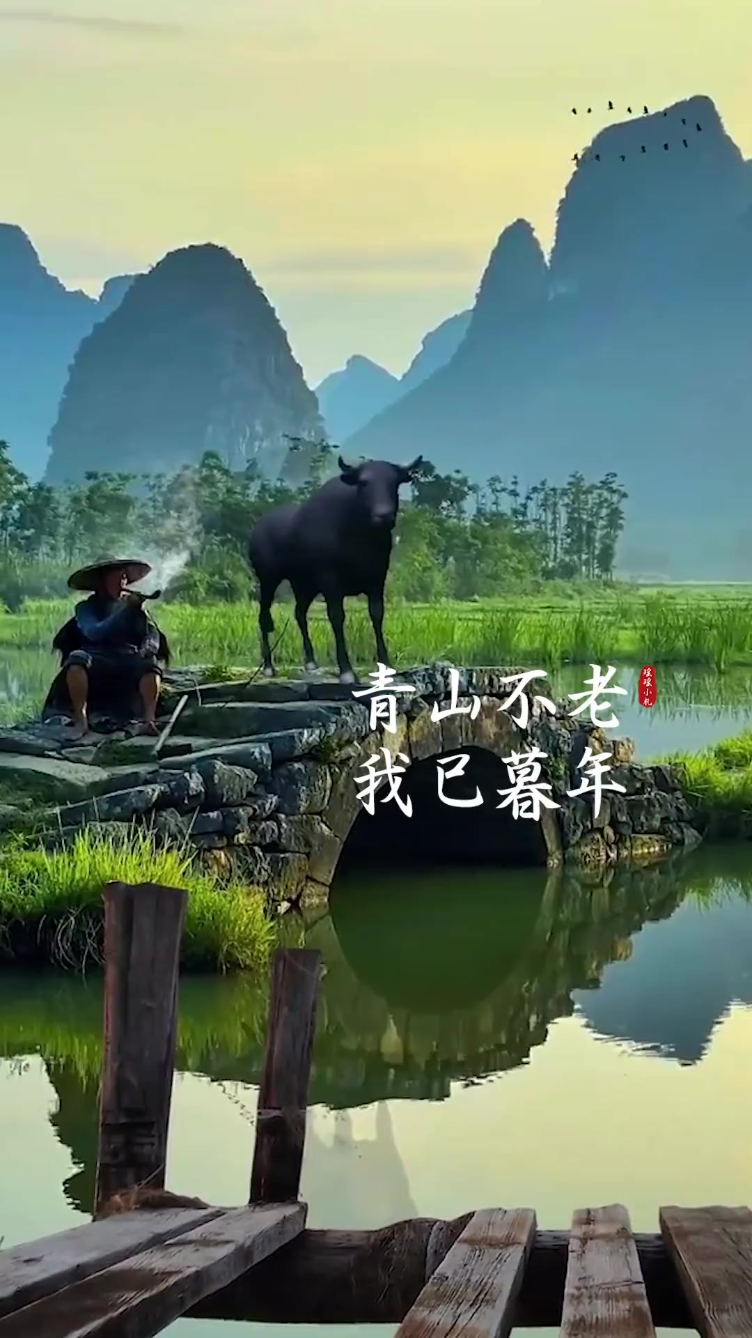 青山不老我不闲,一生忙碌为油盐,句句戳心,句句真实,这才是人生啊.诗