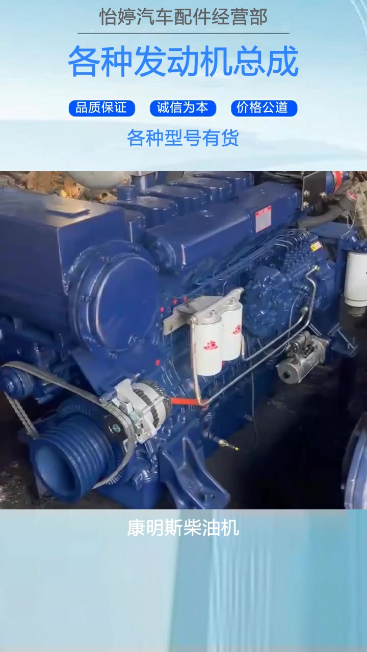 重气柴油机厂家 邯郸重气柴油机厂家 重气柴油机 富康发动机总成 发货