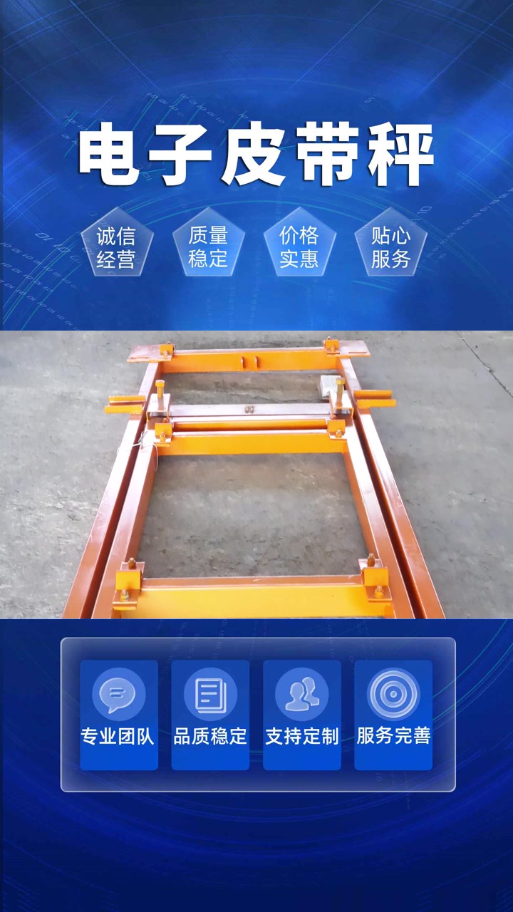 流量秤 皮带称厂家 配料皮带秤 江苏配料皮带秤 江苏配料皮带秤供货商