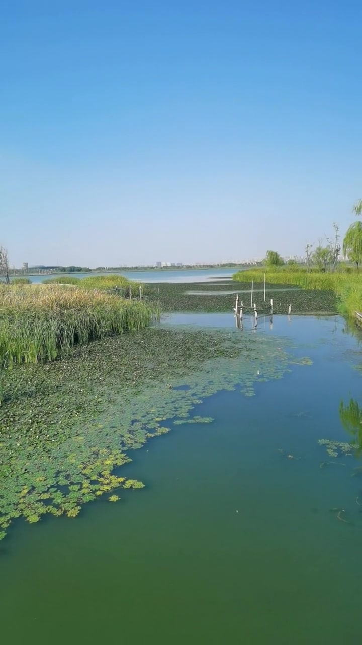 南通海门謇公湖风景秀美,是个很不错的地方