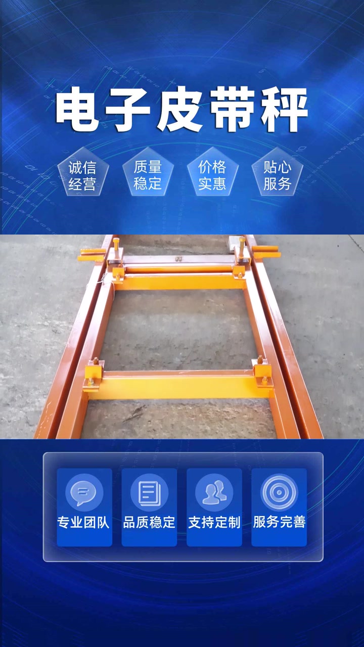 输送称 称重给料机 称重皮带机 安徽称重皮带机 安徽称重皮带机制造商