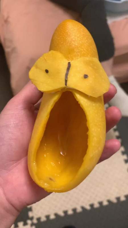 芒果鞋 萌娃搞笑日常 人类幼崽到底有多可爱-度小视