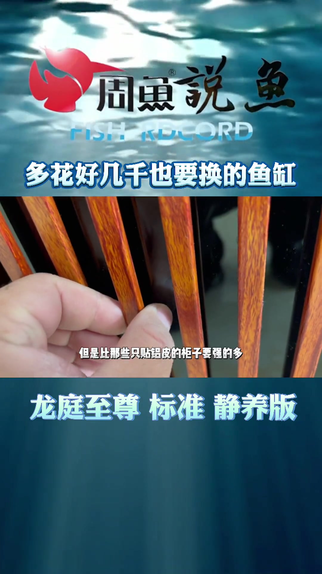 玩家多花好几千也要换的鱼缸 周鱼龙庭至尊版标准版精养版区别