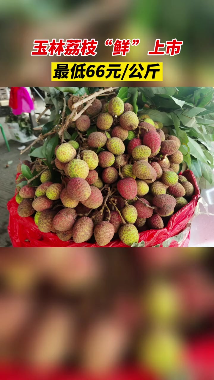 玉林荔枝"鲜"上市,最低66元/公斤 玉林 荔枝 水果