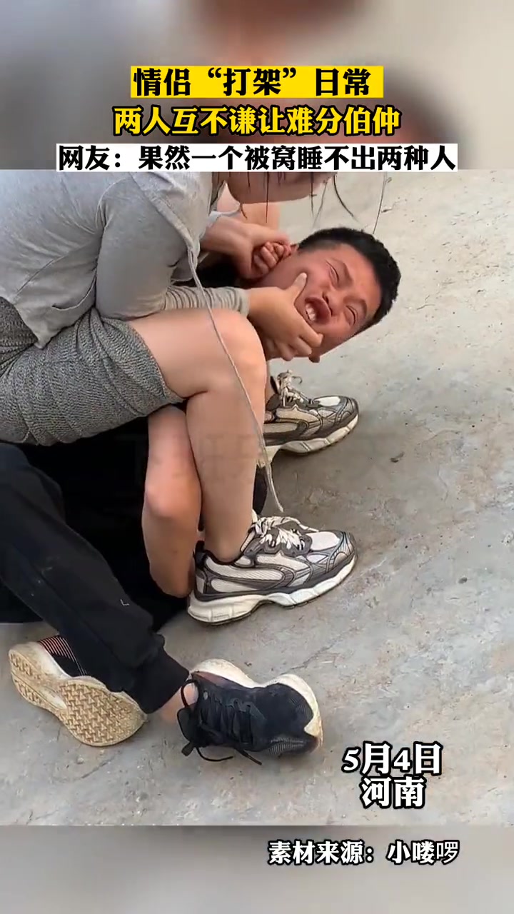 情侣"打架"日常,两人互不谦让难分伯仲