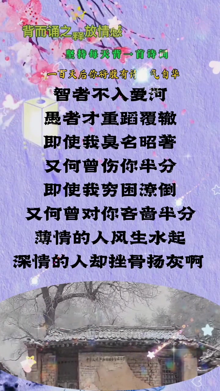 智者不入爱河,愚者才重蹈覆辙,即使我臭名昭著,又何曾伤你半分,即使我