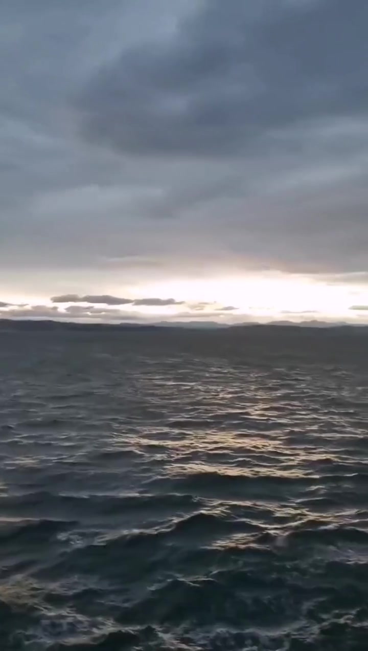 黑海深处海水受到硫化氢污染缺乏氧气深处生物几乎绝迹几乎成