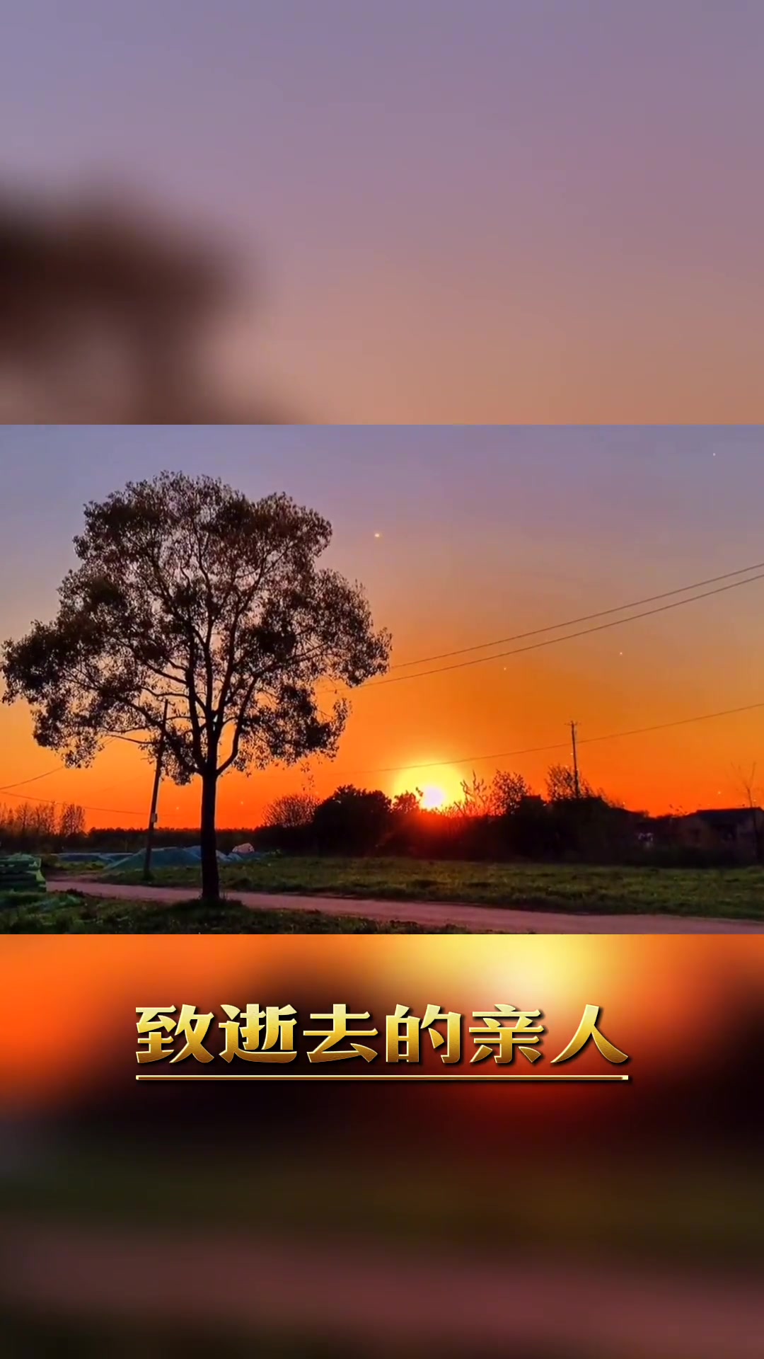 我有所念人,隔在两世间;愿天堂的亲人一切安好的句子