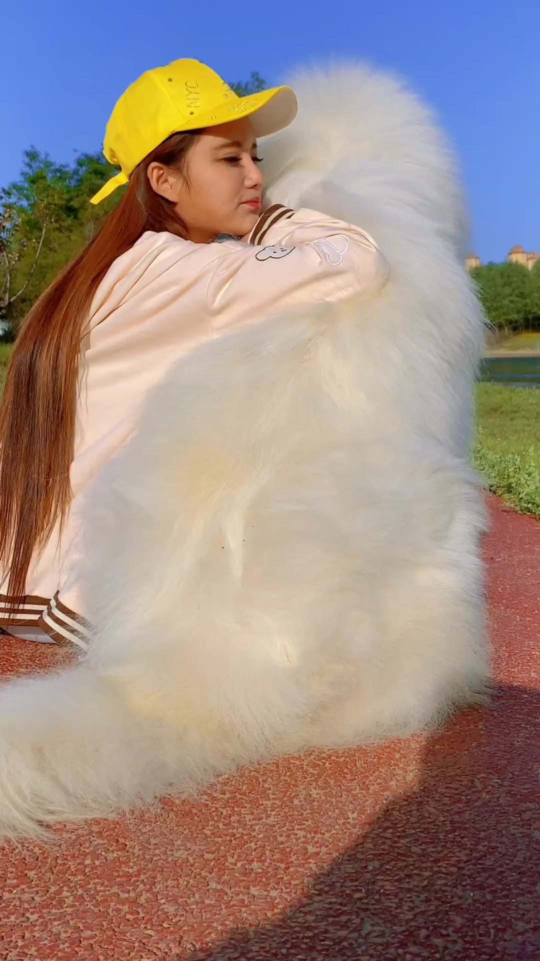 大白熊 大白熊犬 大白熊犬幼犬 来自遥远的法国,阿尔卑