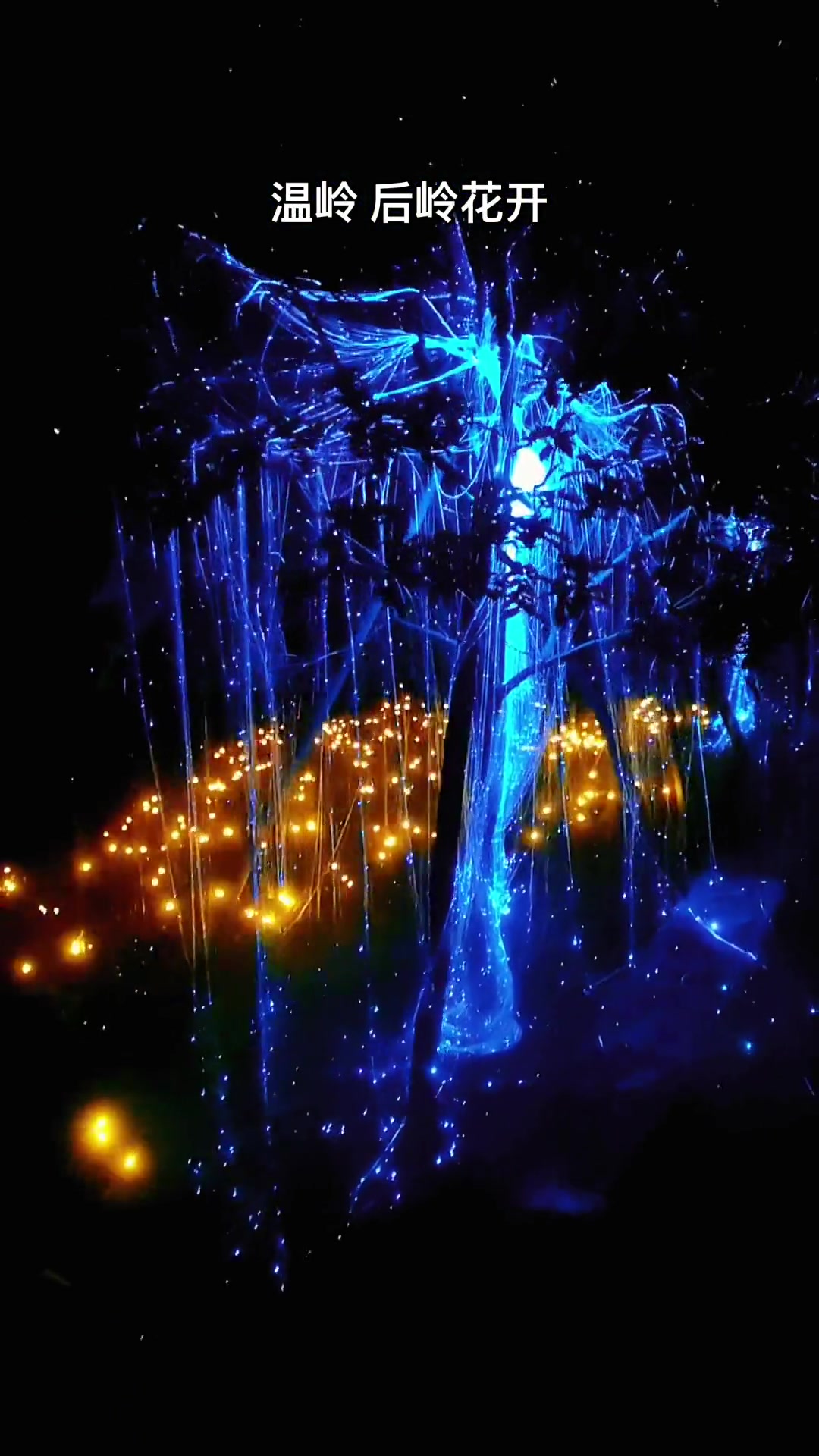 灯火阑珊,夜景迷人,温岭后岭花开魔幻森林夜游,赶紧带上你的那