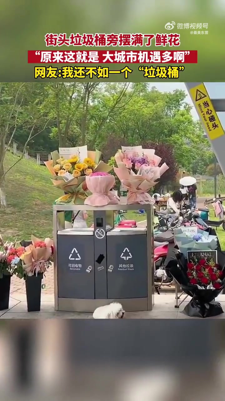 520街头垃圾桶旁摆满鲜花,网友:这就是大城市,机遇多啊!