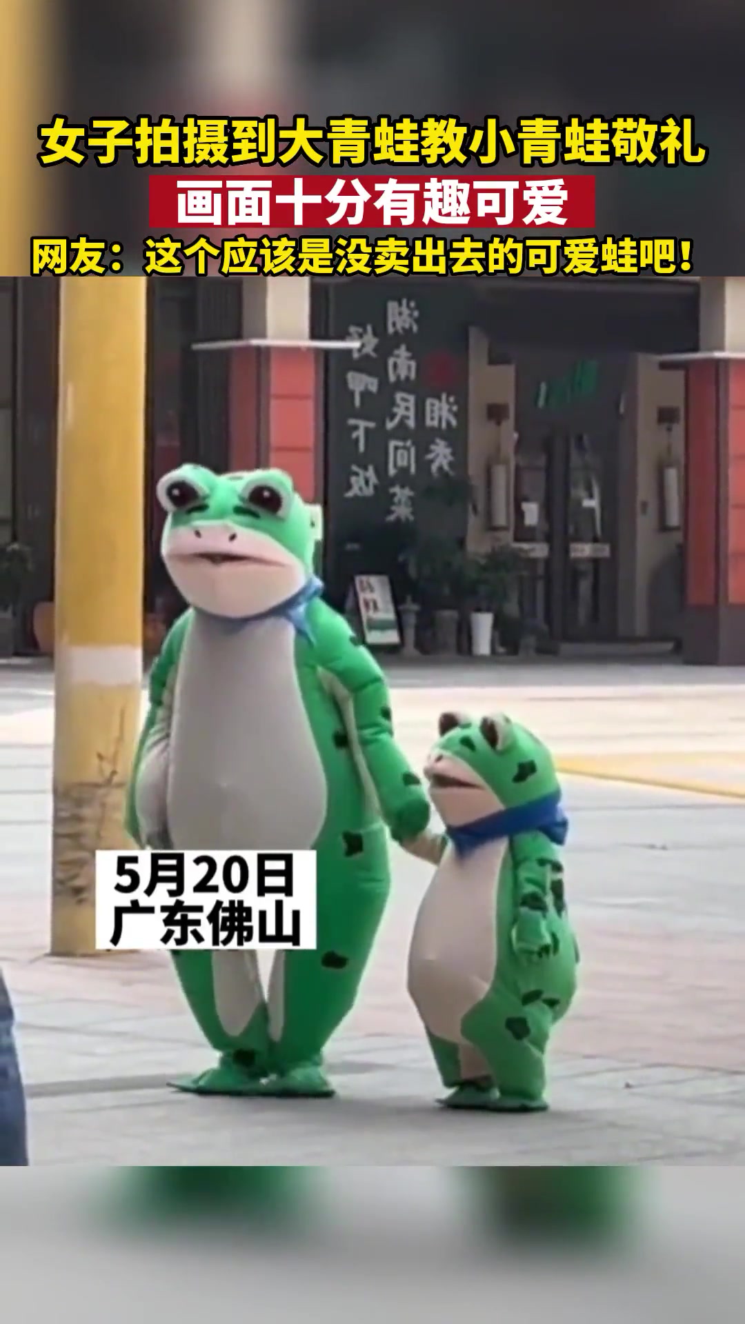 女子拍摄到大青蛙教小青蛙敬礼,画面十分有趣可爱