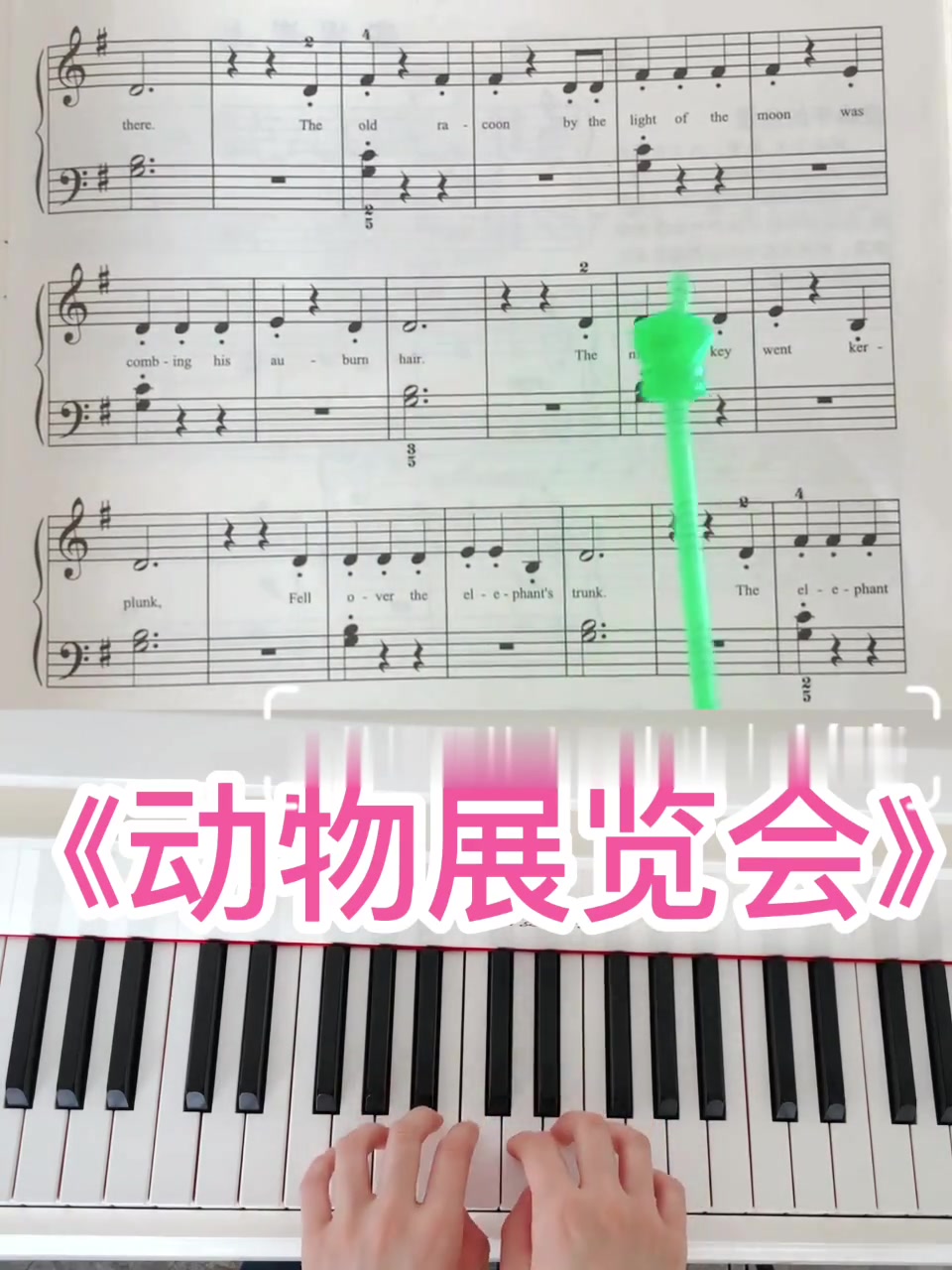 小汤3《动物展览会》