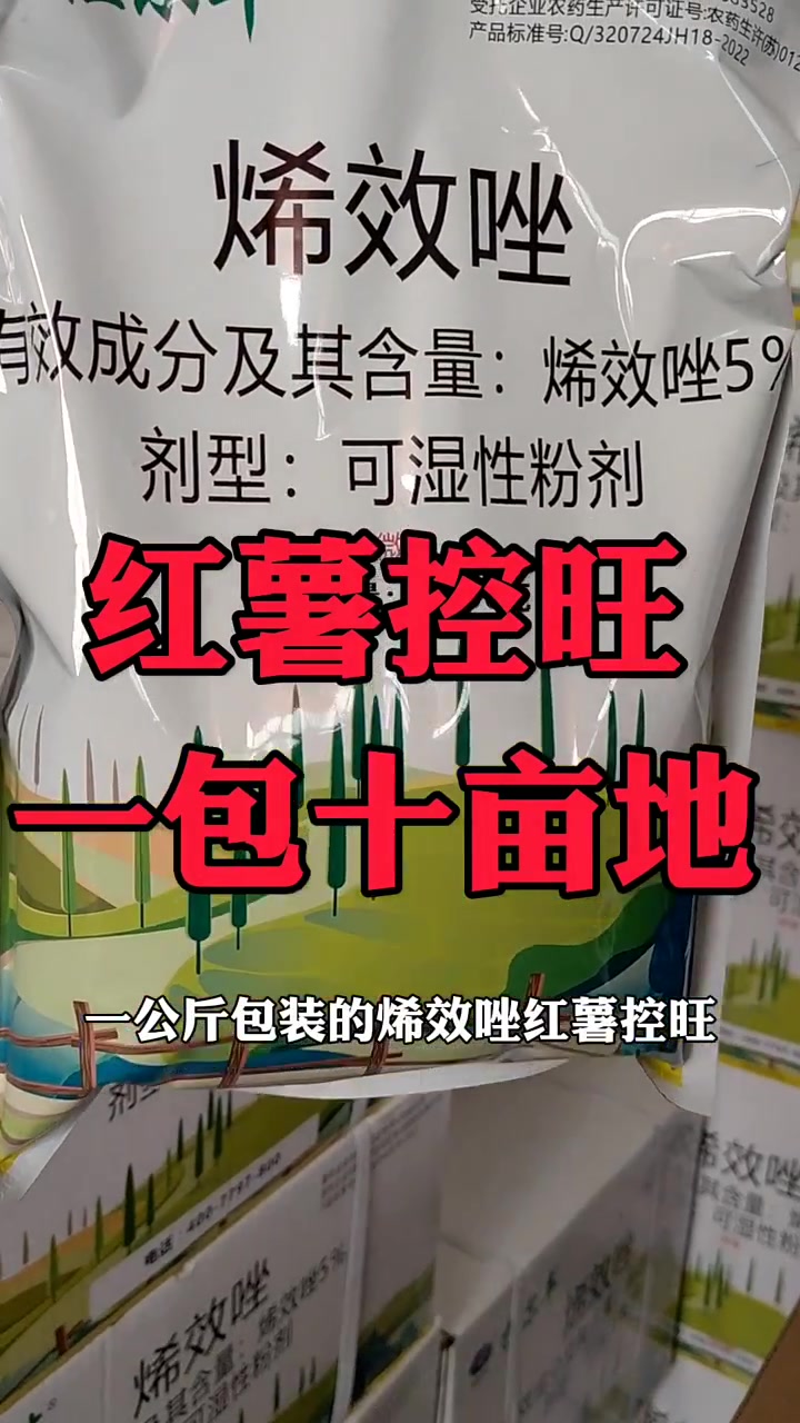 红薯控旺比较推荐大家使用烯效唑残留低,活性高,控旺效果更好-度小视