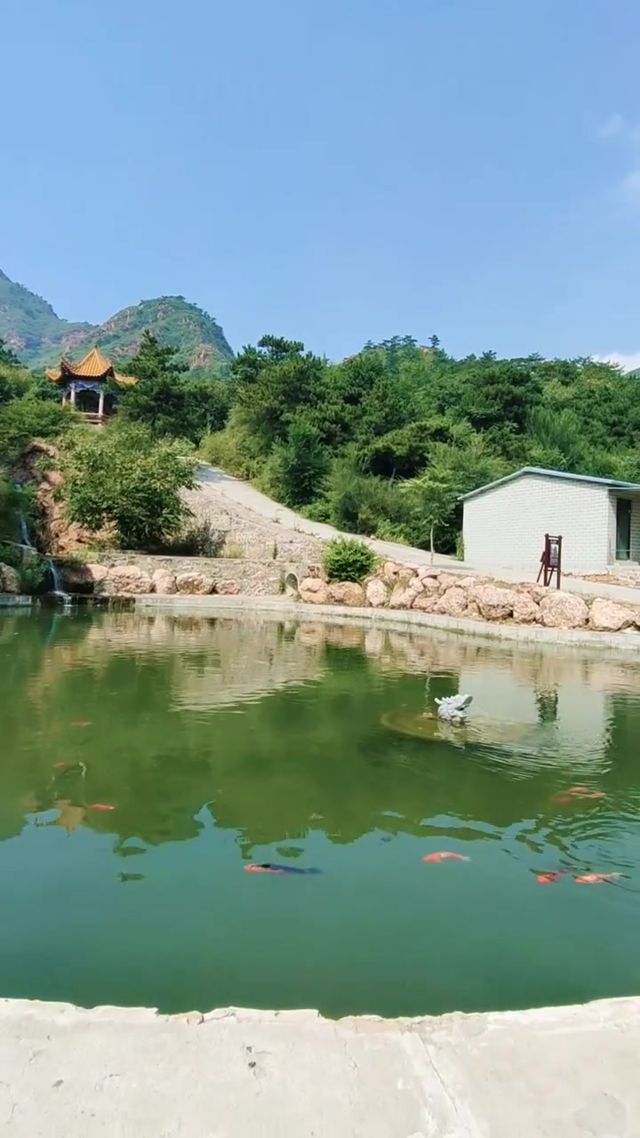千年山水情,神奇塔寺峪.这么美的地方,去过没?