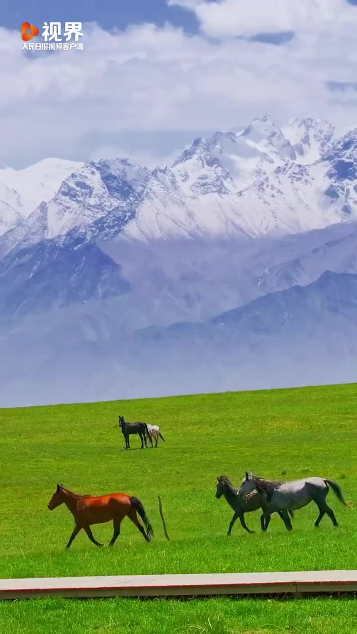 新疆 雪山下草原上的奔马像幅油画」21日,新疆和田地区板兰格草原