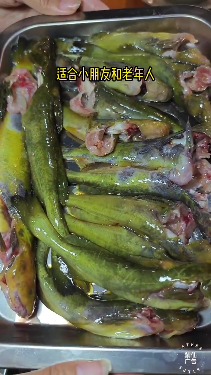 巴国城彩云湖旁这家石锅苗苗鱼,黄辣丁9.