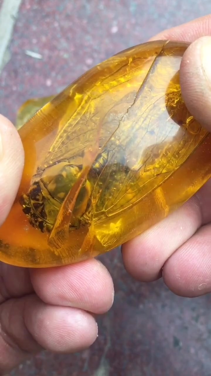 再一次证明二代蜜蜡等于塑料-度小视