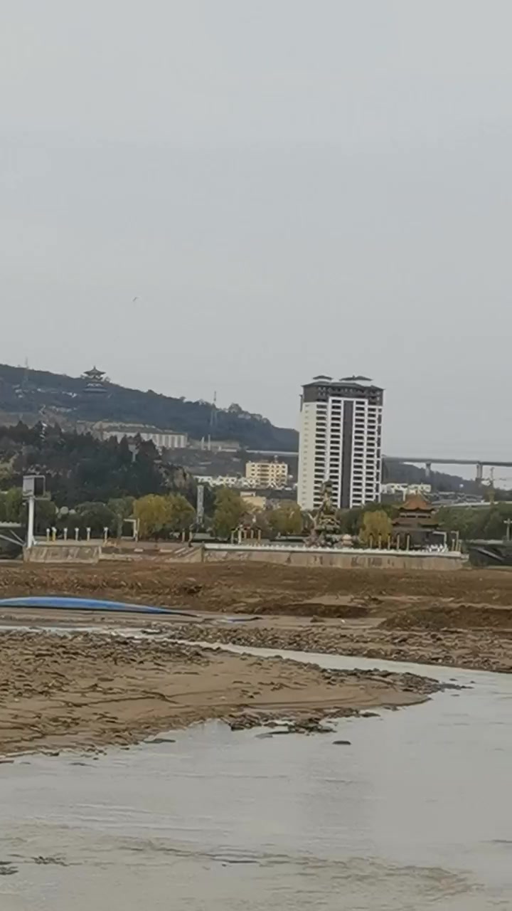 宁县发现白鹭 马莲河上见白鹭-度小视